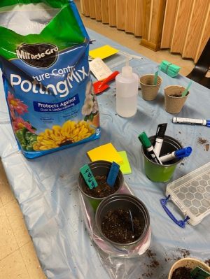 Student plant potting projects